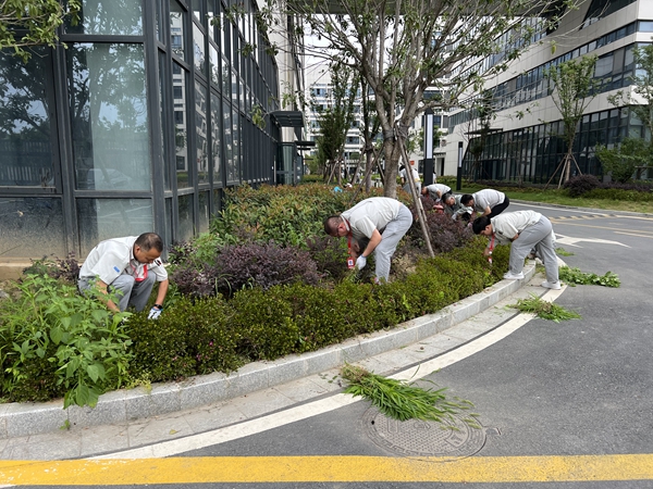 控制器.jpg 控制器.jpg